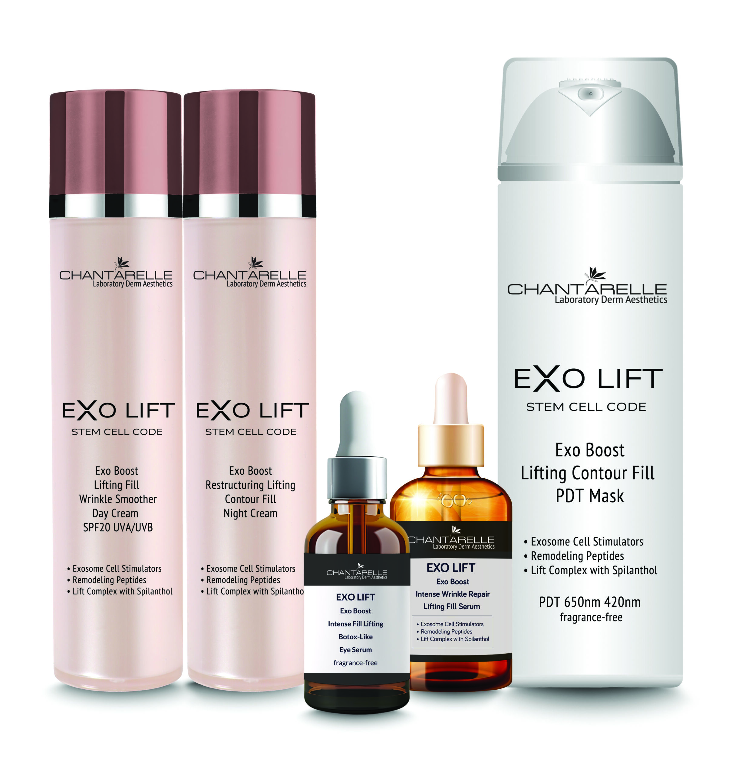 na zdjęciu reklama: CHANTARELLE EXO LIFT MULTI 2024 copy