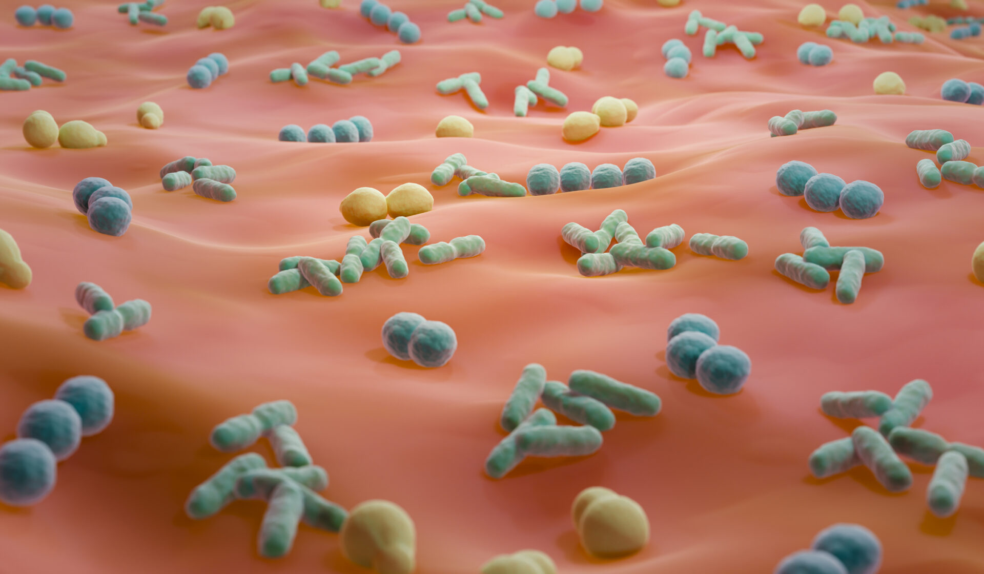 Na zdjęciu mikrobiom