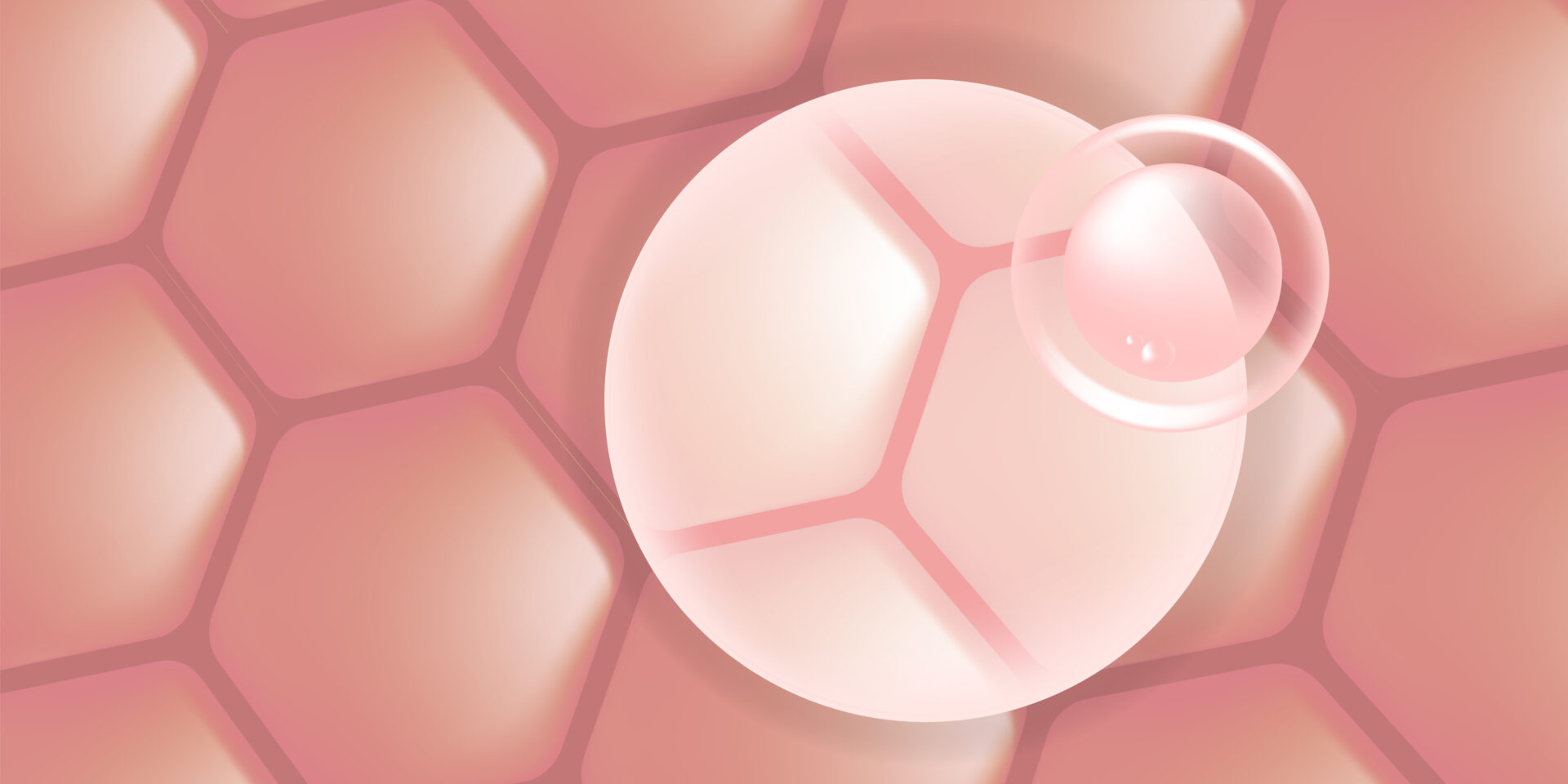 Reklama preparatów do pielęgnacji włosów i skóry z kwasem hialuronowym i niacynamidem, różowe krople serum kolagenowego wnikające w komórki skóry na tle reklamy kosmetyków gotowej do użycia, ilustracja wektorowa.