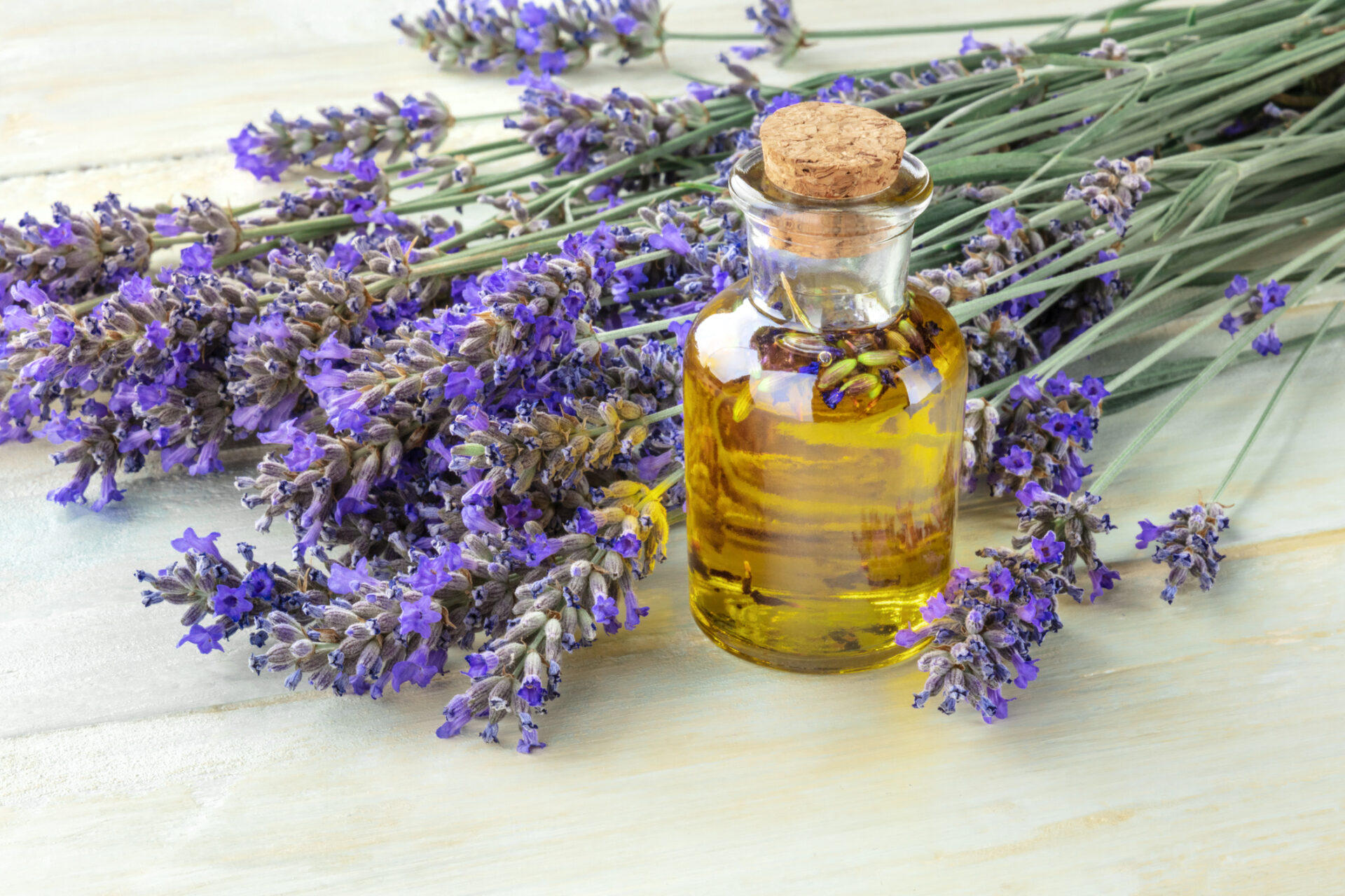 na zdjęciu jest widoczna lawenda z olejkiem